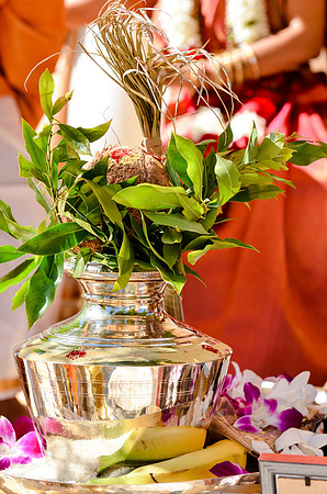 wedding_supreeta-tota_2409_LR