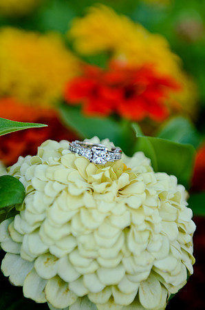 e-session_ronnie-tomasa_0515