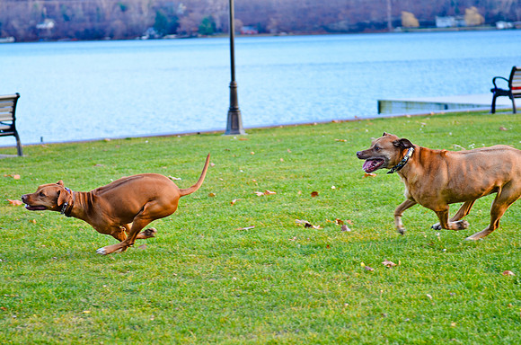 © 2012 www.TommyJohnStudios.com