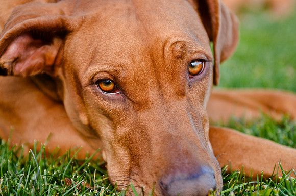 © 2012 www.TommyJohnStudios.com