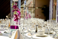 © 2012 www.TommyJohnStudios.com