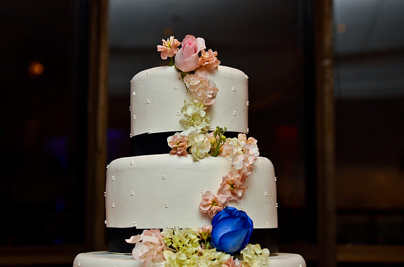 © 2012 www.TommyJohnStudios.com