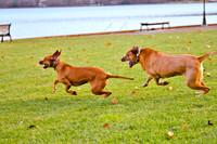 © 2012 www.TommyJohnStudios.com
