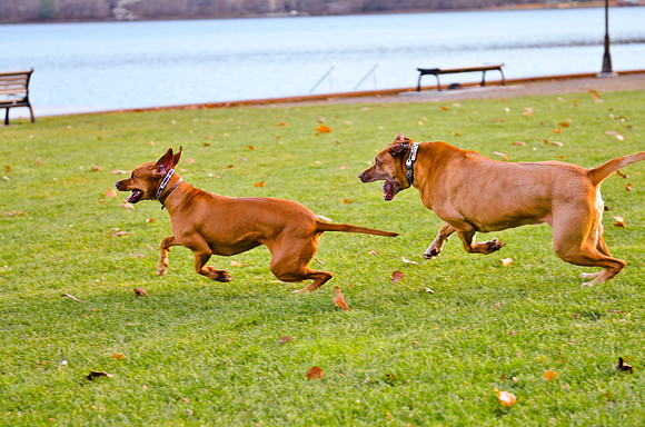 © 2012 www.TommyJohnStudios.com