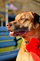 © 2012 www.TommyJohnStudios.com