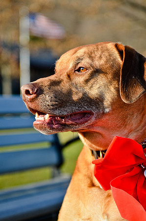 © 2012 www.TommyJohnStudios.com