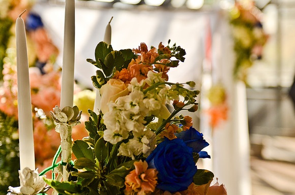 © 2012 www.TommyJohnStudios.com