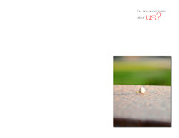 guestbook_gonsalves_19