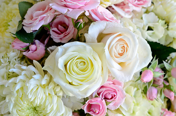 © 2012 www.TommyJohnStudios.com