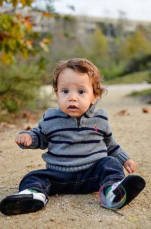 otis_bear_13_months_0035_LR