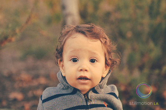 otis_bear_13_months_0012_LR
