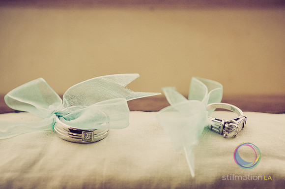 fox-wedding_0163_LR