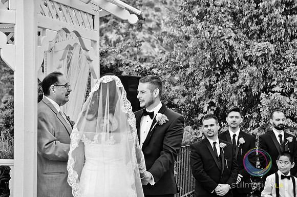 fox-wedding_1131_LR