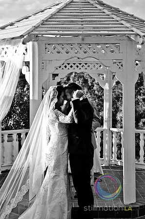 fox-wedding_1264_LR