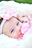 © 2012 www.TommyJohnStudios.com