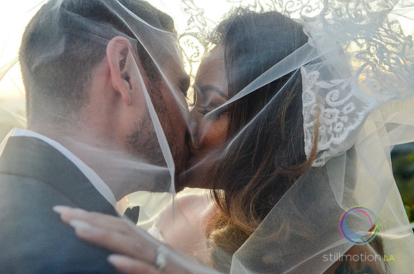 fox-wedding_1878_LR