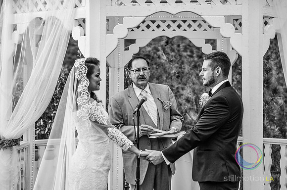 fox-wedding_1107_LR