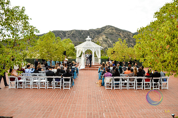 fox-wedding_1121_LR