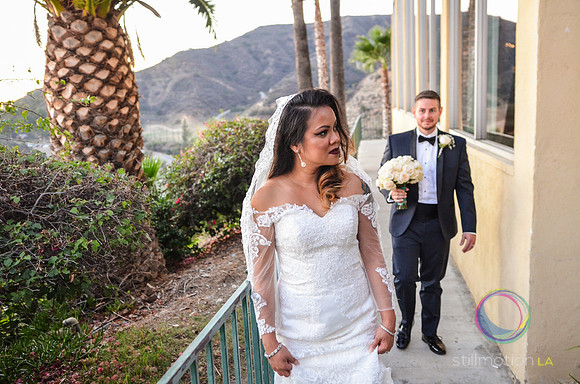fox-wedding_1800_LR