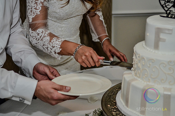 fox-wedding_2878_LR