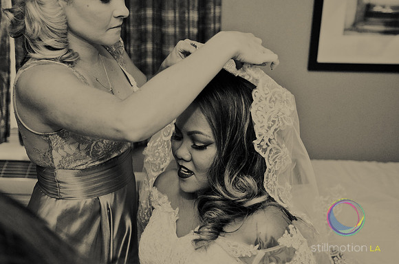 fox-wedding_0590_LR