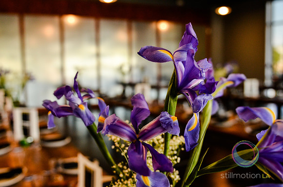 justin-sonya_wedding_0041