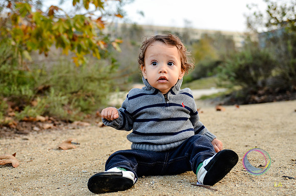 otis_bear_13_months_0019_LR