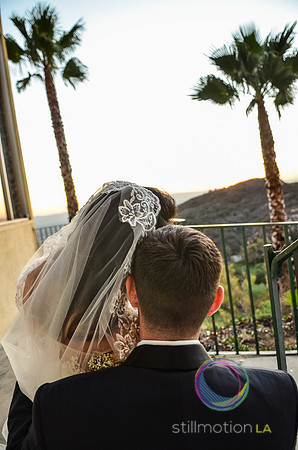fox-wedding_1762_LR