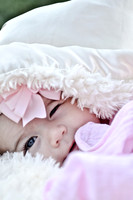 © 2012 www.TommyJohnStudios.com