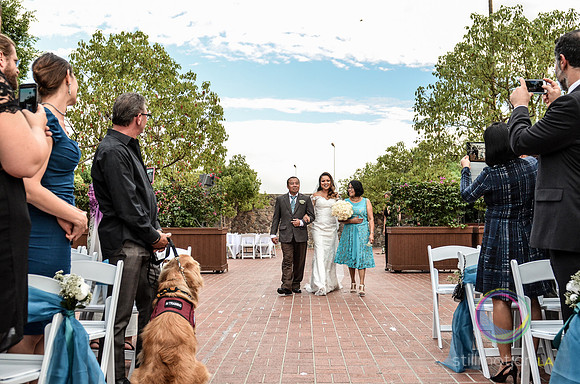 fox-wedding_1038_LR