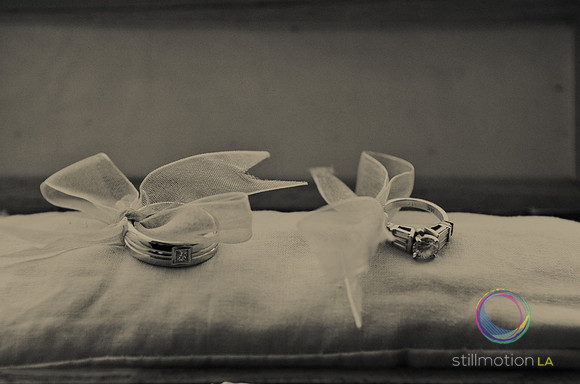 fox-wedding_0157_LR