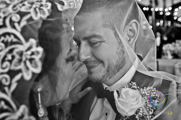 fox-wedding_1867_LR