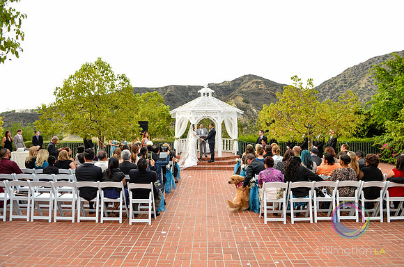 fox-wedding_1110_LR