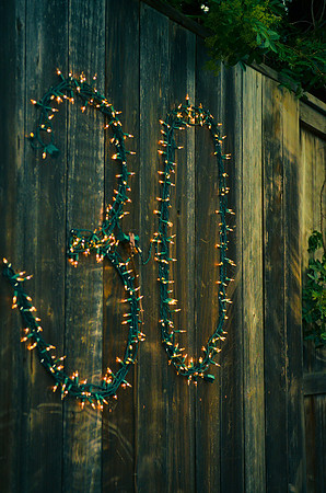 bday_pam-wilson_2013_0118