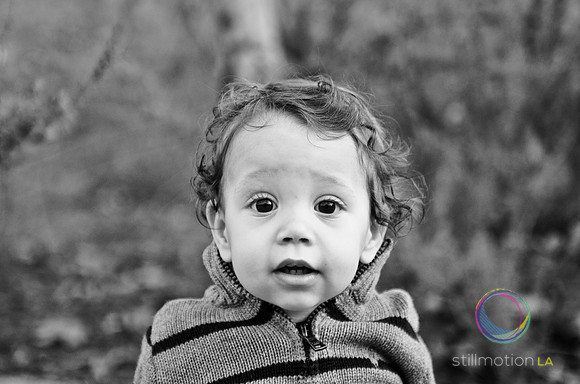 otis_bear_13_months_0011_LR