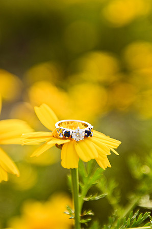 e-session_katie-alan_04-29-12_0394