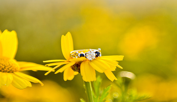e-session_katie-alan_04-29-12_0410