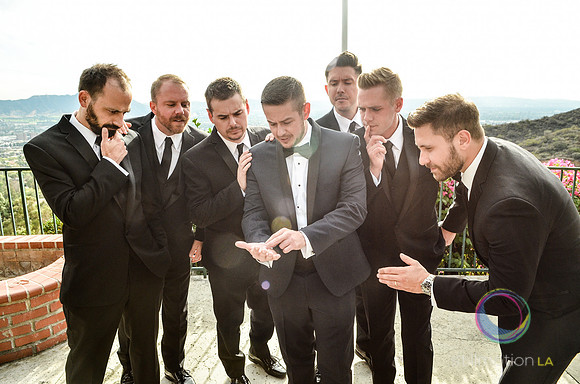 fox-wedding_0413_LR