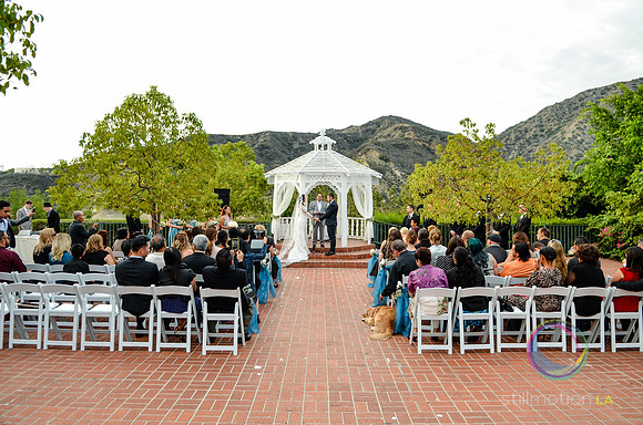 fox-wedding_1114_LR