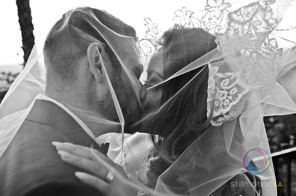 fox-wedding_1880_LR