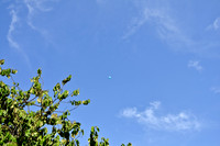 © 2012 www.TommyJohnStudios.com
