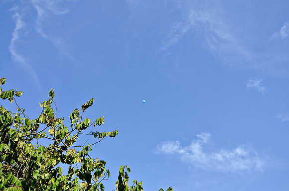 © 2012 www.TommyJohnStudios.com
