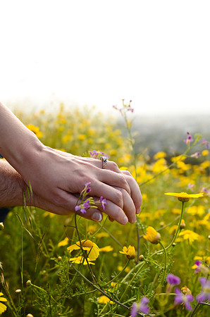 e-session_katie-alan_04-29-12_0317