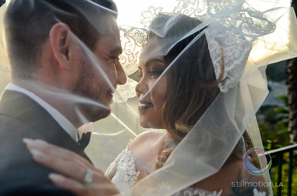 fox-wedding_1874_LR