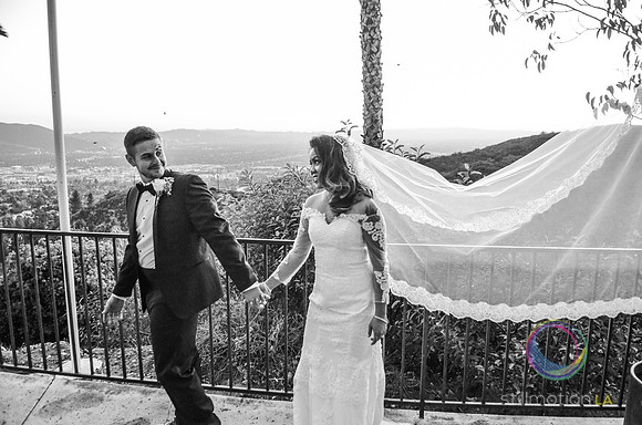 fox-wedding_1843_LR