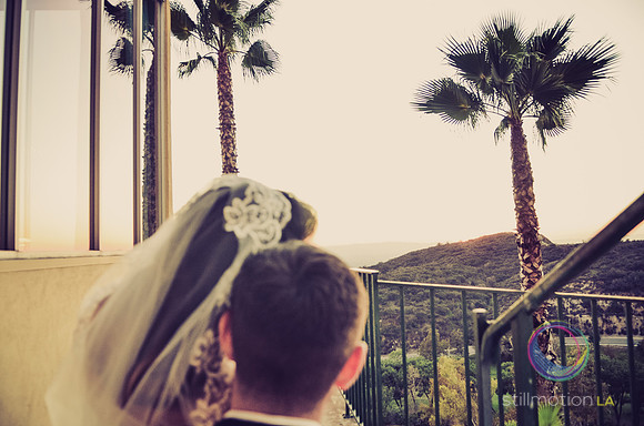 fox-wedding_1764_LR