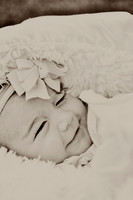 © 2012 www.TommyJohnStudios.com