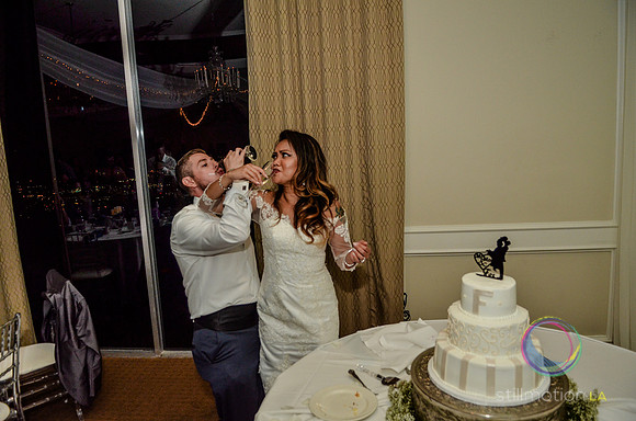 fox-wedding_2905_LR