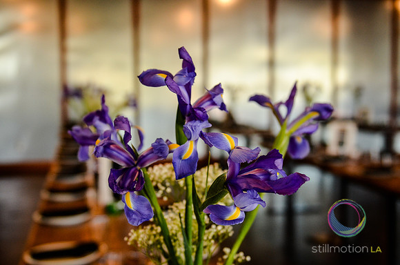 justin-sonya_wedding_0042