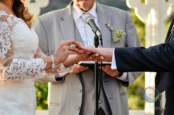 fox-wedding_1248_LR